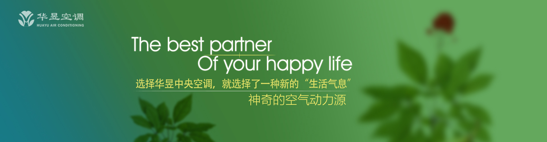 陈言老套网